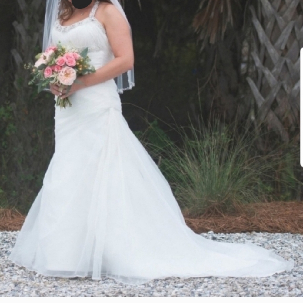 Trumpet Style (Scoop, Halter) Wedding Dress, Veil, Garmet Bag